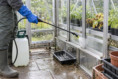 Een serre ontsmetten na een uitbraak van een plantenziekte