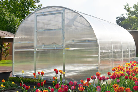 Folientunnel in der Schweiz kaufen – Flexible Polytunnel von Bloomcabin