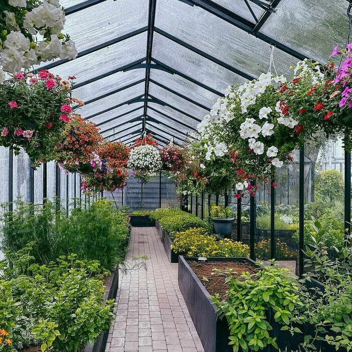 Geräumiges Gewächshaus