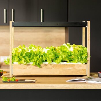 Smart Garten