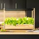 Smart Garten