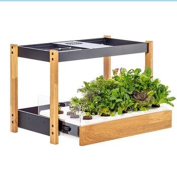 Smart Garten
