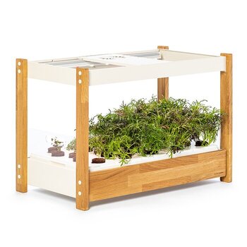 Smart Garten