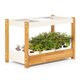 Smart Garten