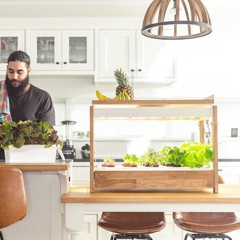 Smart Garten