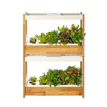 Smart Garten