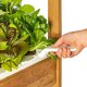 Smart Garten