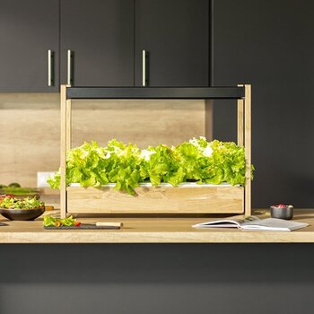 Smart Garten