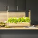 Smart Garten