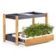 Smart Garten