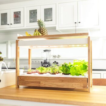 Smart Garten
