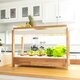 Smart Garten