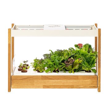 Smart Garten