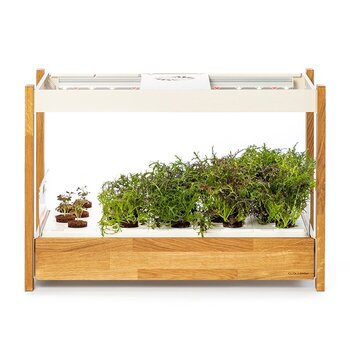 Smart Garten
