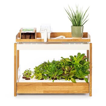 Smart Garten