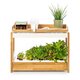 Smart Garten