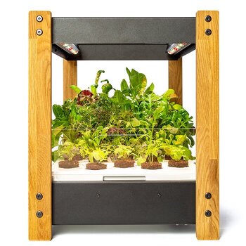 Smart Garten