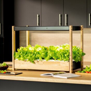 Smart Garten