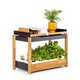 Smart Garten