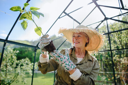 Bag designet: Oprettelsen af ​​et Bloomcabin-drivhus