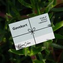 Gavekort