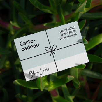 Carte-cadeau