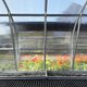 Serre en polycarbonate