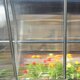 Serre en polycarbonate
