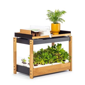 Smart Garden
