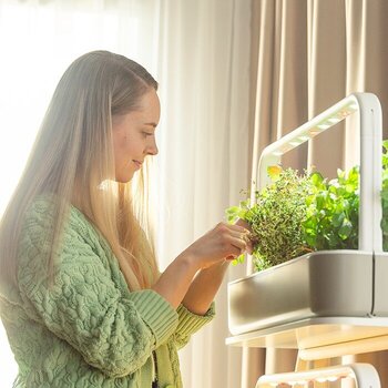 Smart Garden