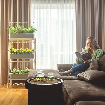 Smart Garden