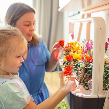 Smart Garden