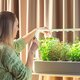 Smart Garden