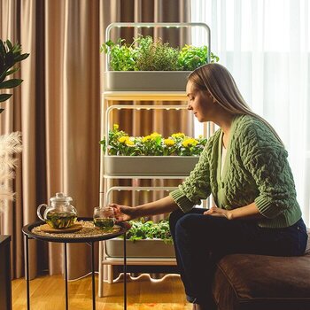 Smart Garden