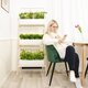 Smart Garden