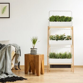 Smart Garden