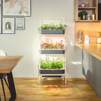 Smart Garden