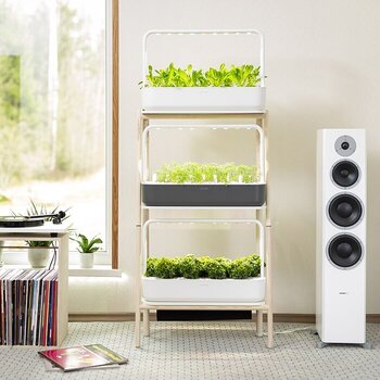 Smart Garden