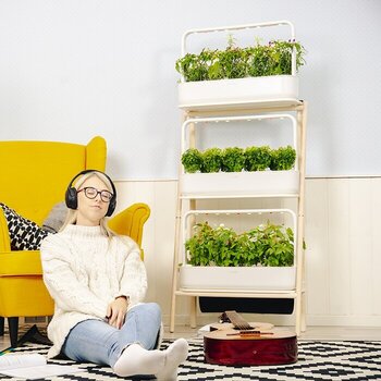 Smart Garden