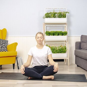 Smart Garden