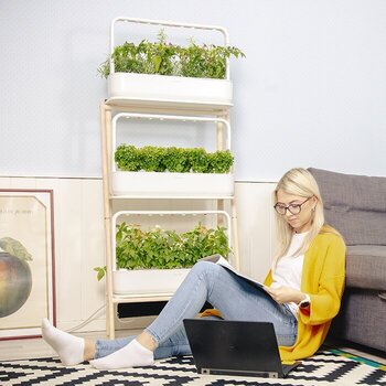 Smart Garden