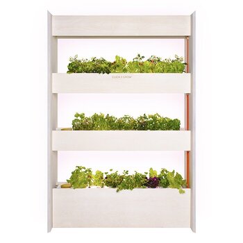 Smart Garden