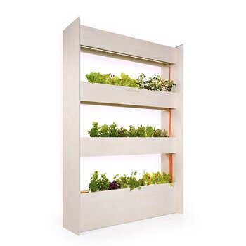 Smart Garden