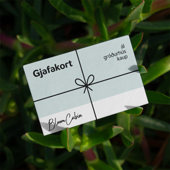 Gjafakort