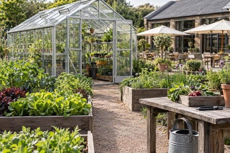 Serra per l’orto di un ristorante