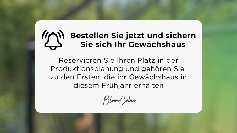 Je größer der Einkauf, desto mehr Geschenke