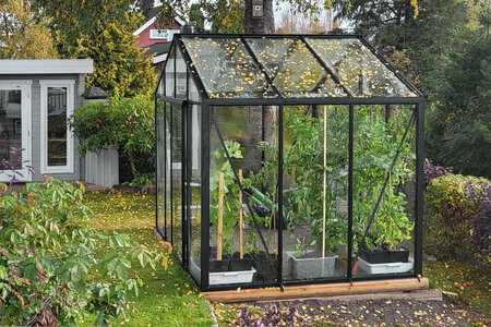 10 razones para elegir invernaderos de aluminio de Bloomcabin