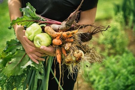 Organic farming: health and environmental benefits