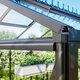 Wall-Mounted Greenhouse