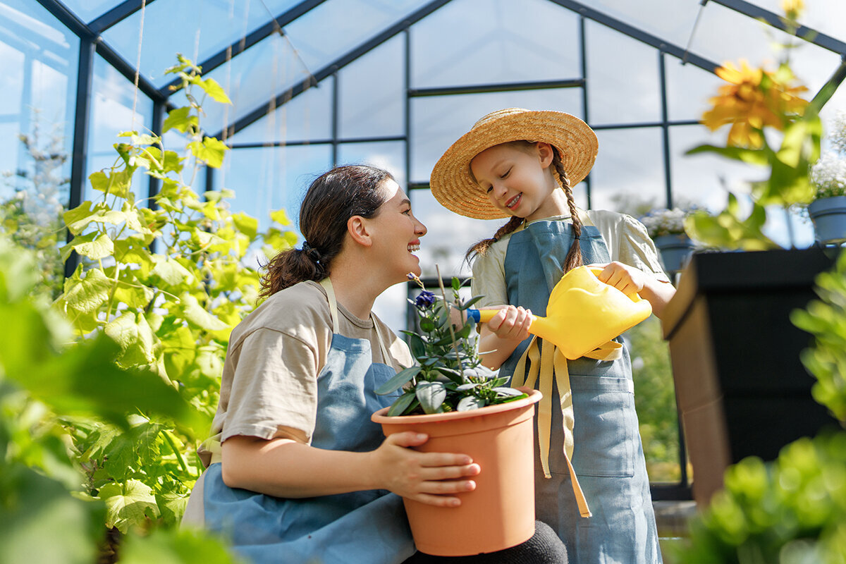 2025: o ano para investir no seu bem-estar com uma estufa de alumínio e vidro